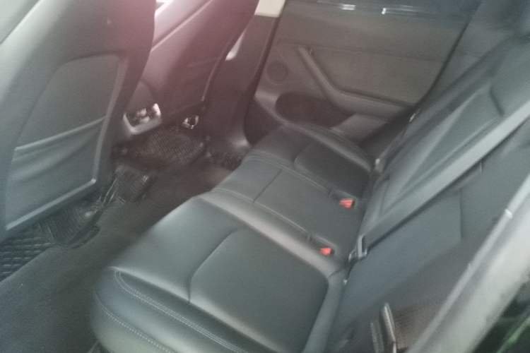 Used Tesla Model Y 2024 Rear-Wheel-Drive Version Left Rear Seat