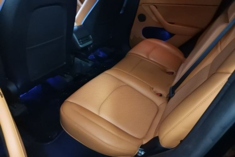 Used Tesla Model Y 2024 Rear-Wheel-Drive Version Left Rear Seat