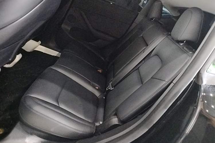 Used Tesla Model Y 2024 Rear-Wheel-Drive Version Left Rear Seat