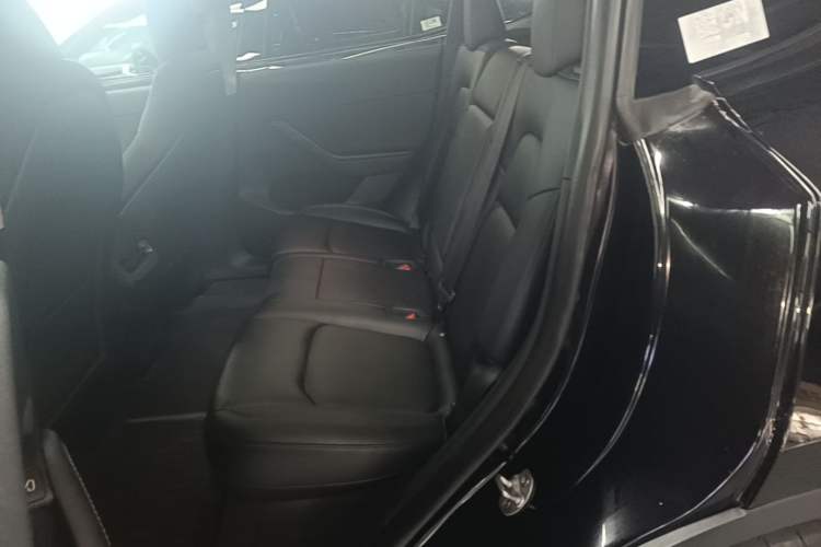 Used Tesla Model Y 2024 Rear-Wheel-Drive Version Left Rear Seat