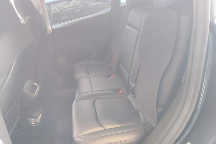 Used Tesla Model Y 2024 Rear-Wheel-Drive Version Left Rear Seat