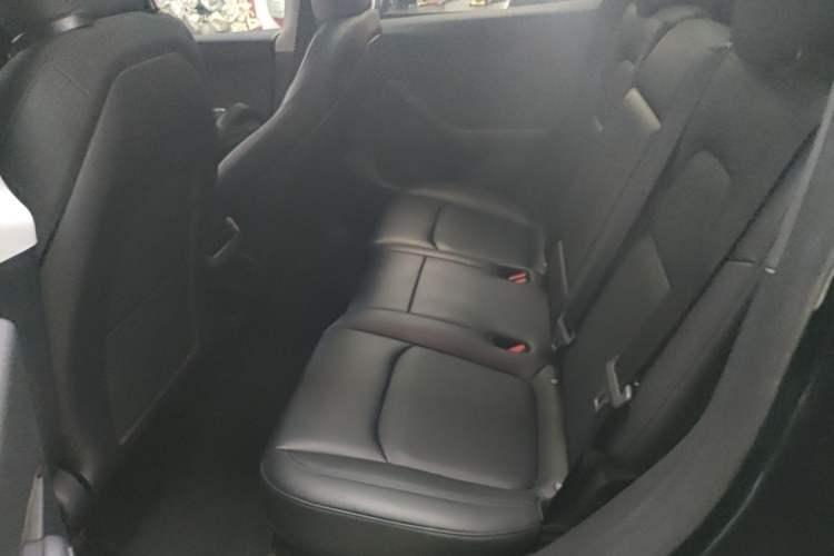 Used Tesla Model Y 2024 Rear-Wheel-Drive Version Left Rear Seat