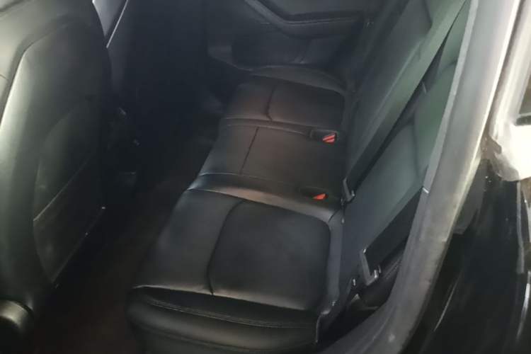 Used Tesla Model Y 2024 Rear-Wheel-Drive Version Left Rear Seat
