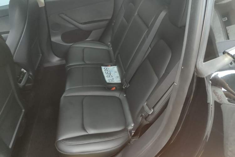 Used Tesla Model Y 2024 Rear-Wheel-Drive Version Left Rear Seat