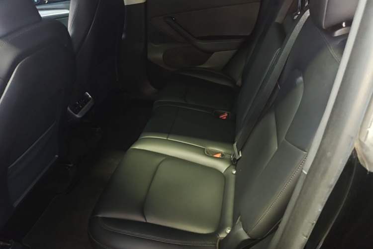 Used Tesla Model Y 2024 Rear-Wheel-Drive Version Left Rear Seat