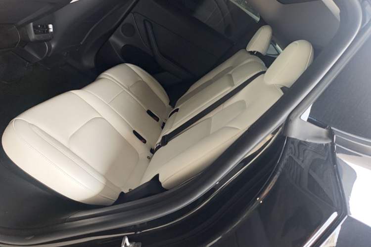 Used Tesla Model Y 2024 Rear-Wheel-Drive Version Left Rear Seat
