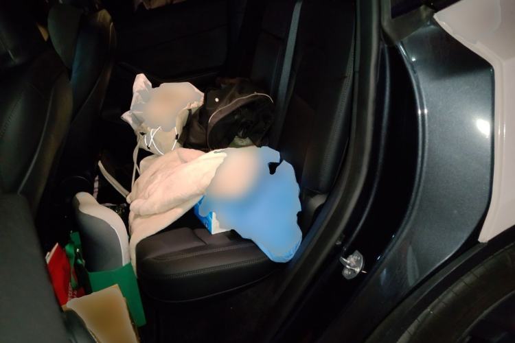 Used Tesla Model Y 2024 Rear-Wheel-Drive Version Left Rear Seat