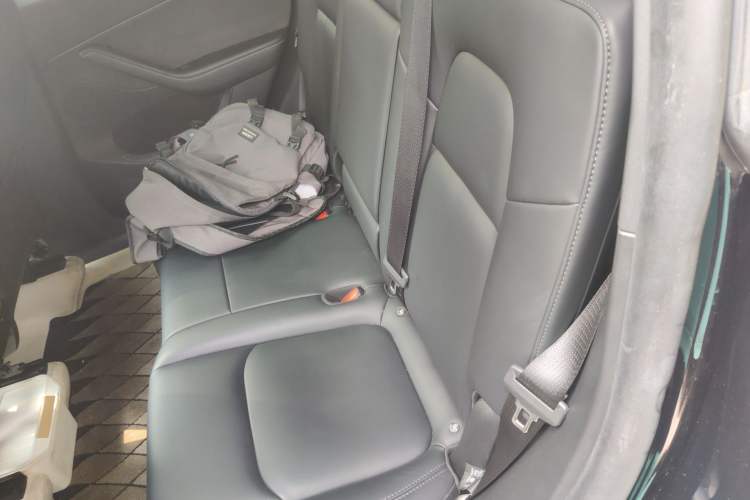 Used Tesla Model Y 2024 Rear-Wheel-Drive Version Left Rear Seat
