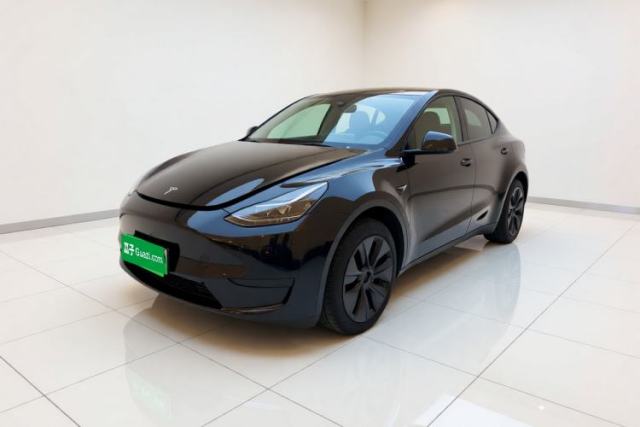 Tesla Model Y 2024 Rear-Wheel-Drive Version usado