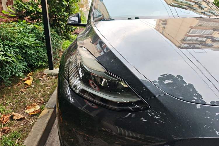 Used Tesla Model Y 2024 Rear-Wheel-Drive Version Right Front Headlight