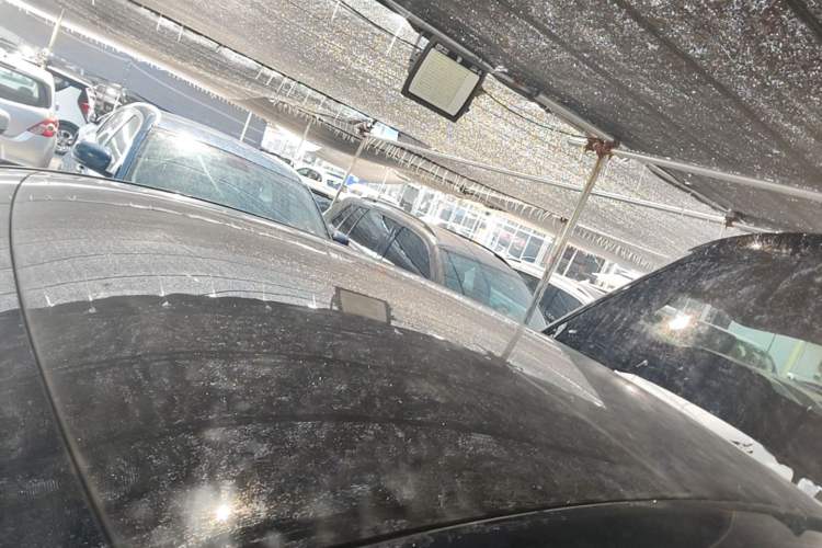 Used Tesla Model Y 2024 Rear-Wheel-Drive Version Roof