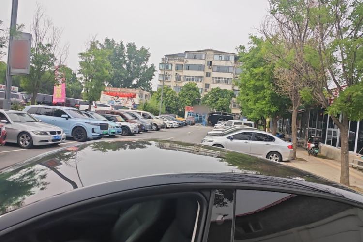 Used Tesla Model Y 2024 Rear-Wheel-Drive Version Roof