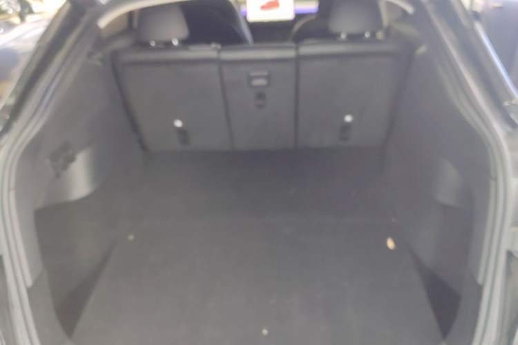 Used Tesla Model Y 2024 Rear-Wheel-Drive Version Trunk
