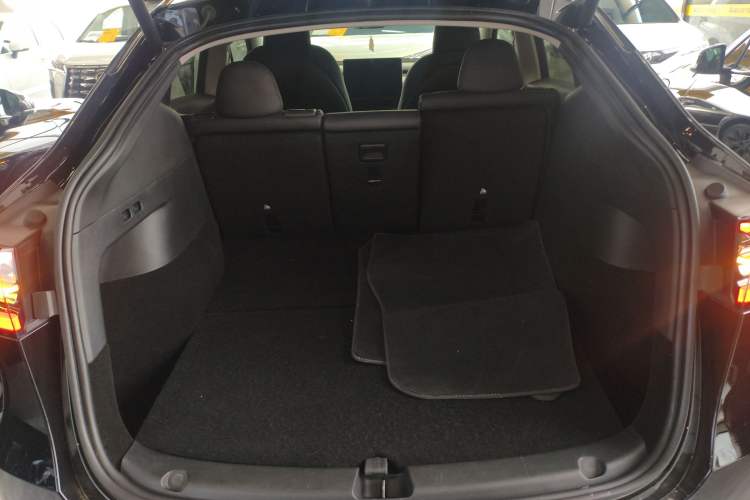 Used Tesla Model Y 2024 Rear-Wheel-Drive Version Trunk