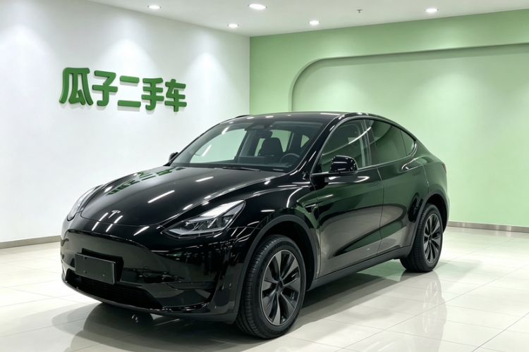 Tesla Model Y 2024 Rear-Wheel-Drive Version