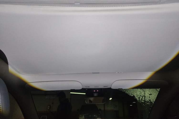 Used Tesla Model Y 2024 Rear-Wheel-Drive Version Headliner