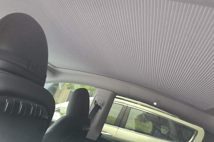 Used Tesla Model Y 2024 Rear-Wheel-Drive Version Headliner