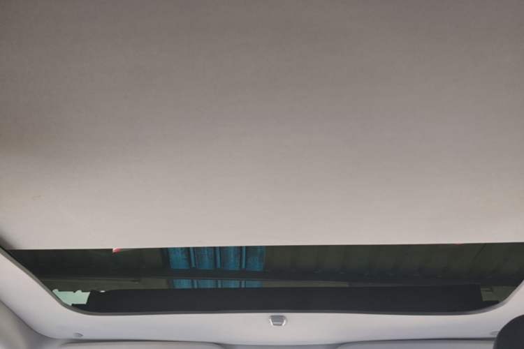 Used Tesla Model Y 2024 Rear-Wheel-Drive Version Headliner