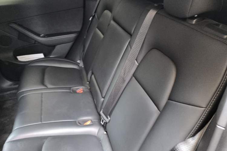 Used Tesla Model Y 2024 Rear-Wheel-Drive Version Left Rear Seat