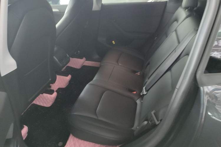 Used Tesla Model Y 2024 Rear-Wheel-Drive Version Left Rear Seat
