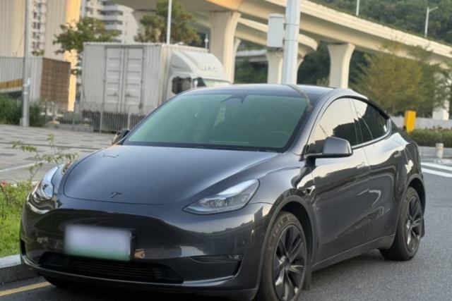 Used Tesla Model Y 2024 Long-Range All-Wheel-Drive Version