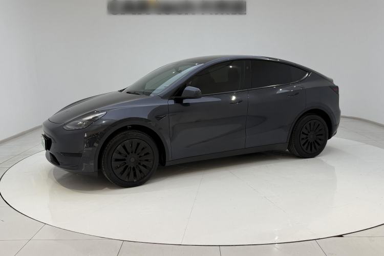 Tesla Model Y 2024 Rear-Wheel-Drive Version
