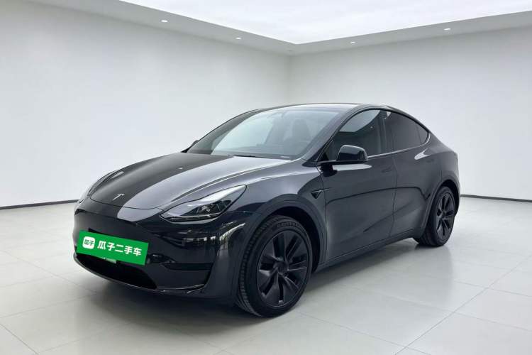 Tesla Model Y 2024 Rear-Wheel-Drive Version