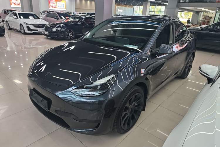 Tesla Model Y 2024 Rear-Wheel-Drive Version