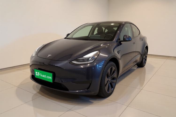 Tesla Model Y 2024 Rear-Wheel-Drive Version