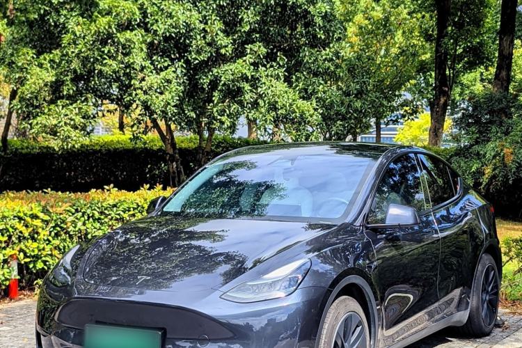Tesla Model Y 2024 Rear-Wheel-Drive Version