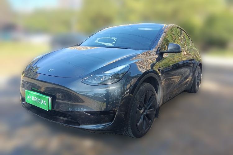 Tesla Model Y 2024 Rear-Wheel-Drive Version
