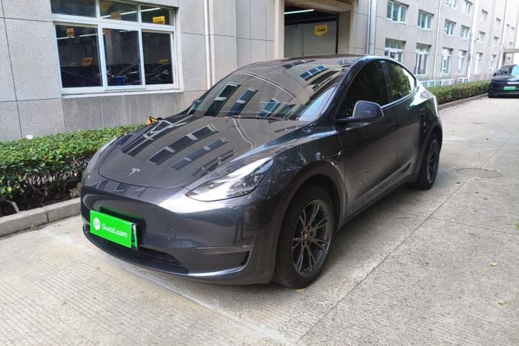 Tesla Model Y 2024 Long-Range All-Wheel-Drive Version
