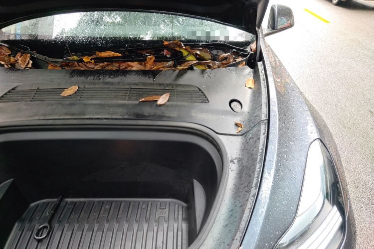 Used Tesla Model Y 2024 Rear-Wheel-Drive Version Engine Bay Left
