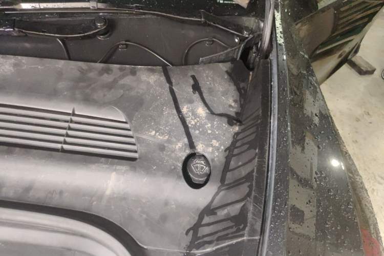 Used Tesla Model Y 2024 Rear-Wheel-Drive Version Engine Bay Left
