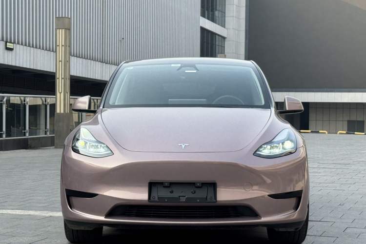 Used Tesla Model Y 2024 Rear-Wheel-Drive Version Exterior 1