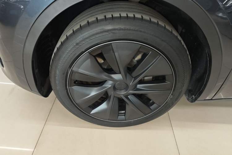 Used Tesla Model Y 2024 Rear-Wheel-Drive Version Exterior 1