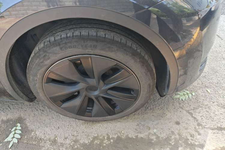Used Tesla Model Y 2024 Rear-Wheel-Drive Version Exterior 1