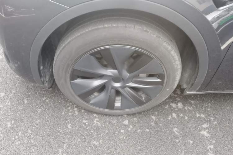 Used Tesla Model Y 2024 Rear-Wheel-Drive Version Exterior 1