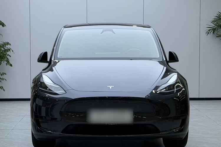 Used Tesla Model Y 2024 Rear-Wheel-Drive Version Exterior 2