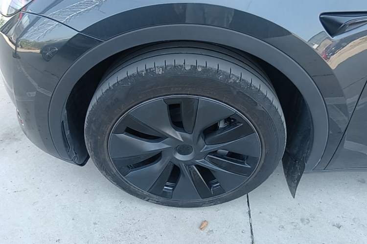 Used Tesla Model Y 2024 Rear-Wheel-Drive Version Exterior 4