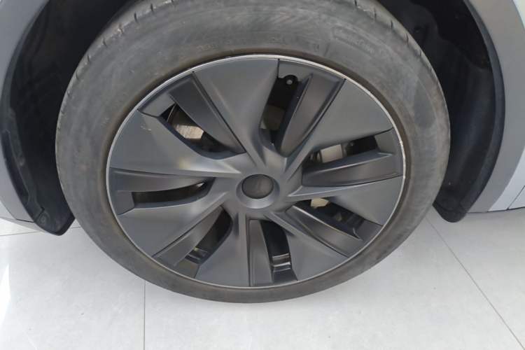 Used Tesla Model Y 2024 Rear-Wheel-Drive Version Exterior 4