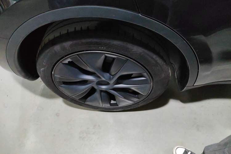 Used Tesla Model Y 2024 Rear-Wheel-Drive Version Exterior 4