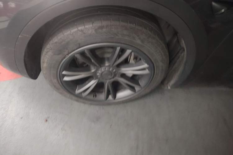 Used Tesla Model Y 2024 Rear-Wheel-Drive Version Exterior 4