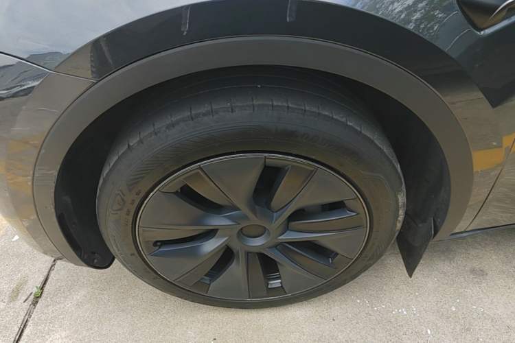 Used Tesla Model Y 2024 Rear-Wheel-Drive Version Exterior 4