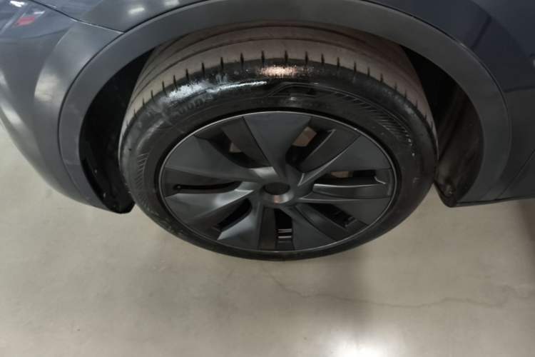 Used Tesla Model Y 2024 Rear-Wheel-Drive Version Exterior 4