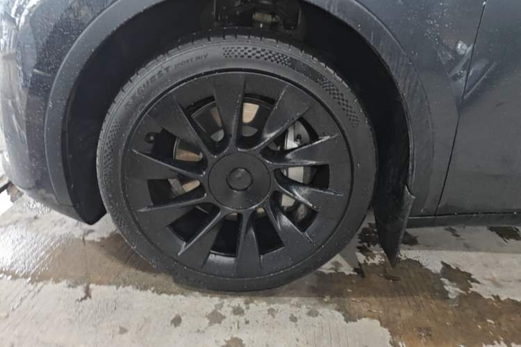 Used Tesla Model Y 2024 Rear-Wheel-Drive Version Exterior 4