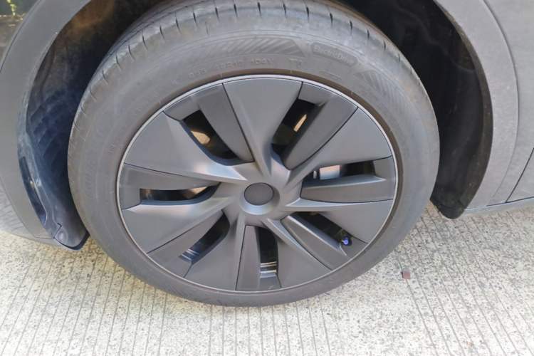 Used Tesla Model Y 2024 Rear-Wheel-Drive Version Exterior 4