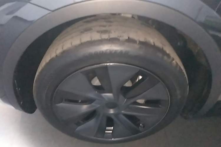 Used Tesla Model Y 2024 Rear-Wheel-Drive Version Exterior 4