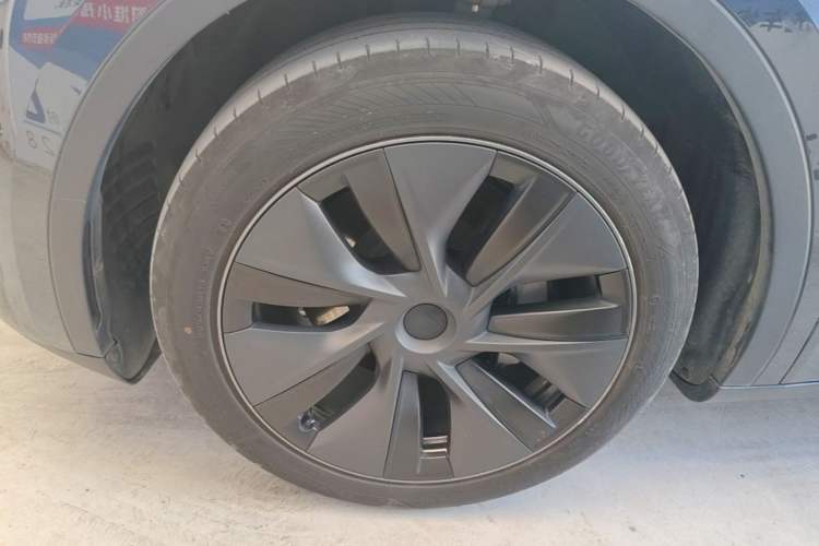 Used Tesla Model Y 2024 Rear-Wheel-Drive Version Exterior 4