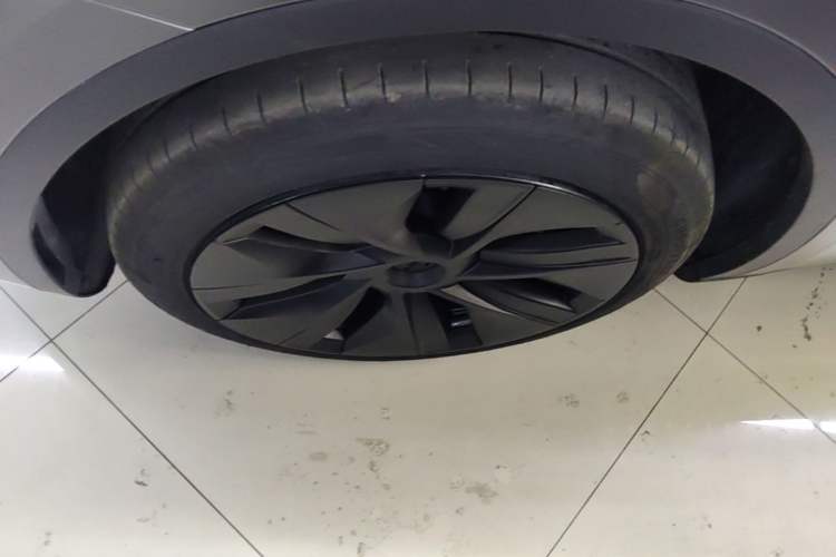 Used Tesla Model Y 2024 Rear-Wheel-Drive Version Exterior 4